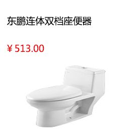 南通雷邦仕屋頂防水補(bǔ)漏材料